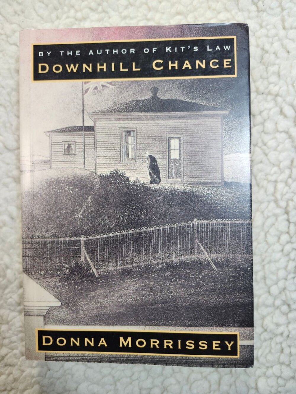 Donna Morrissey Downhill Chance 2002 Paperback Penguin Used ISBN 0-14-303360-3